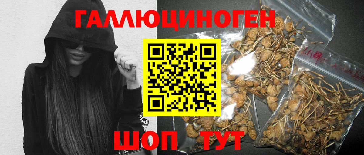 Сланцы  Псилоцибиновые грибы мицелий  Вход с VPN 