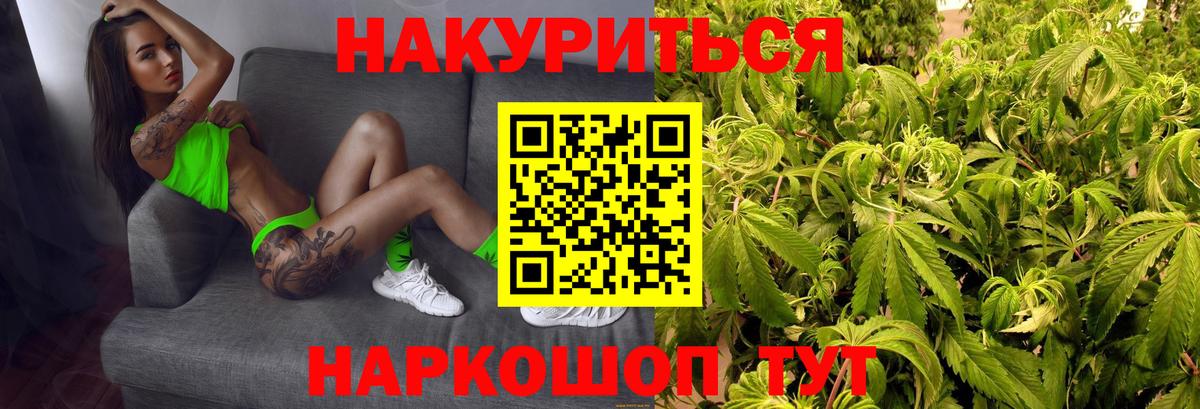 Шишки марихуана индика  Вход с VPN  Сланцы  Конопля Ganja  Канабис семена 
